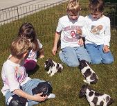 Kids with Cocker puppies