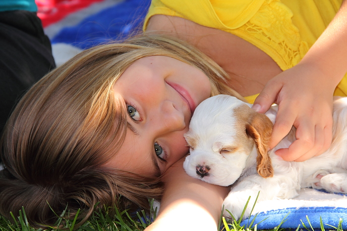 adorable photo of girl with a Cocker Spaniel puppy